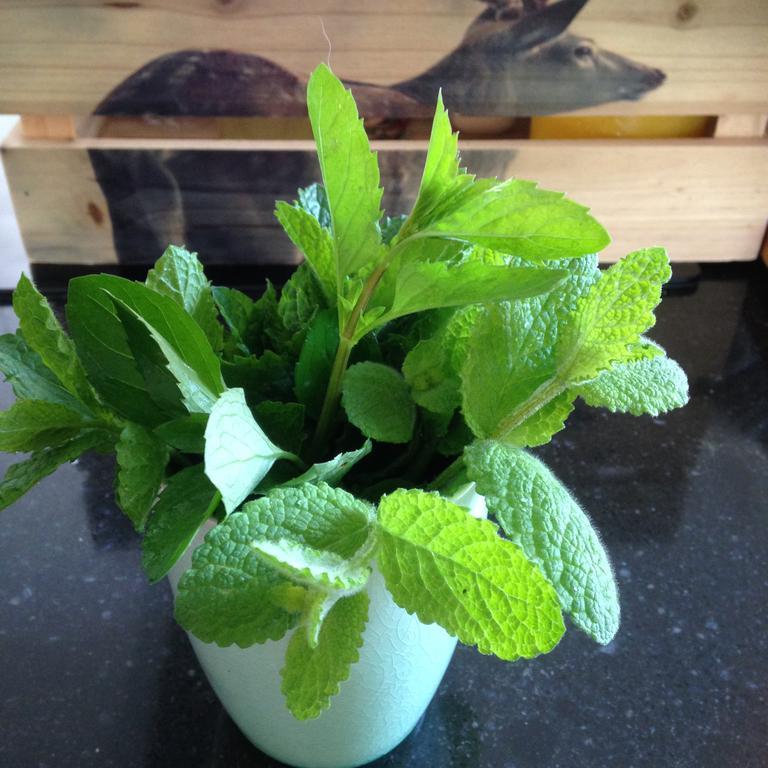 Bij En Boom Bed & Breakfast Drachten Luaran gambar